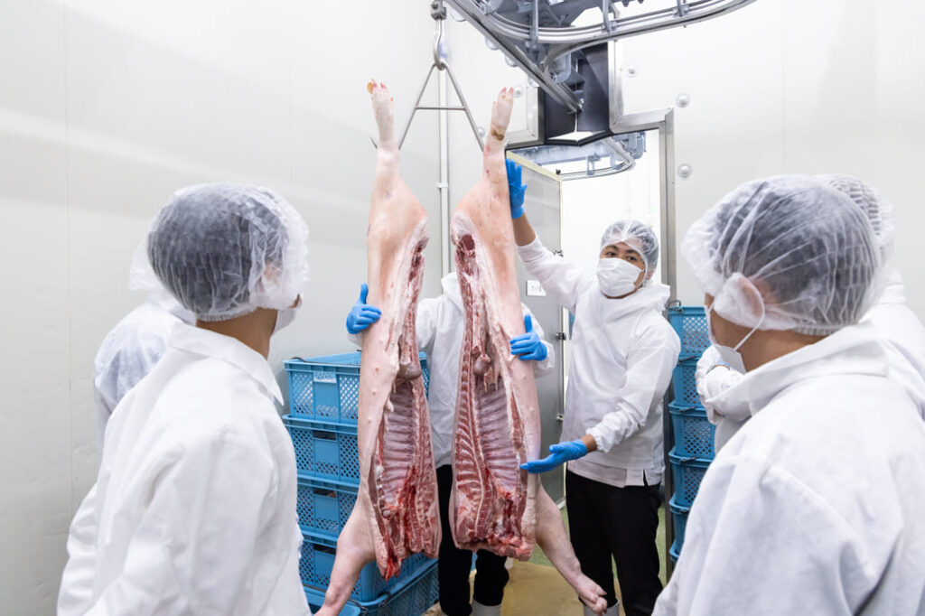 加工場では実際に枝肉から部位ごときに切り分ける解体の工程を見学しました。