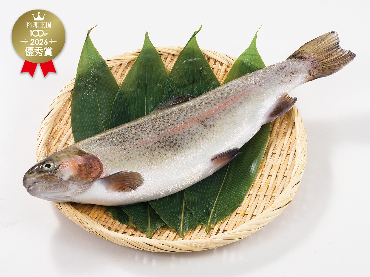 ホワイト富士山サーモン