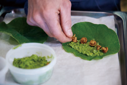 ナスタチュームの葉の上のシャントレルは、自家製の発酵調味料のひとつであるパンプキンビネガーでマリネされている。