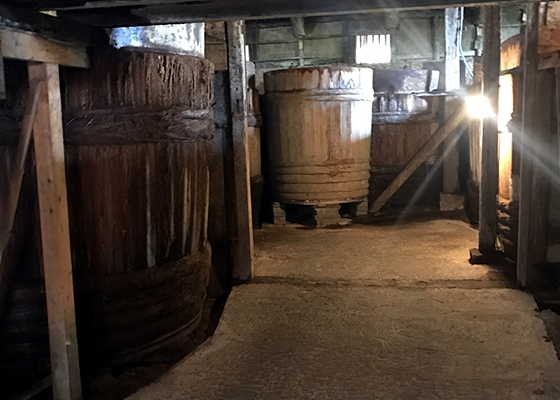 発酵の可能性を探る[前編]発酵はなぜおいしさを生むのか 料理王国