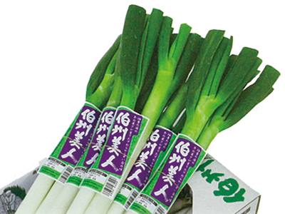 全部わかりますか 日本のねぎ24種類 料理王国 全部わかりますか 日本のねぎ24種類 料理王国