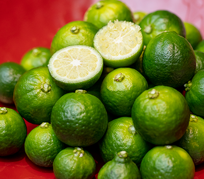 おいしい日本再発見 In Ehime 料理王国