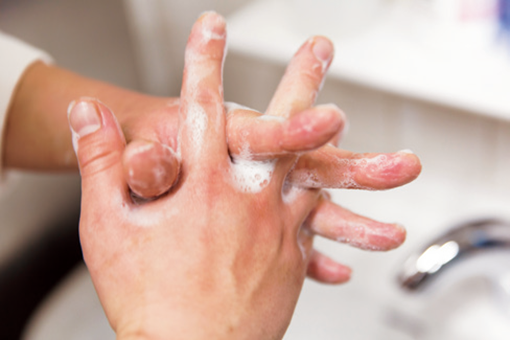 危険な微生物と正しい手の洗い方 料理王国