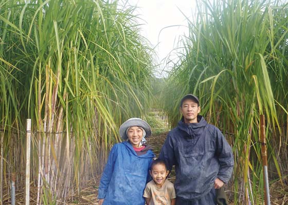 昨年、サトウキビ畑で撮影した家族写真。今年、小学校２年生になった長男は、４ｍにも生長するサトウキビのように、自然の中ですくすくと育っている。