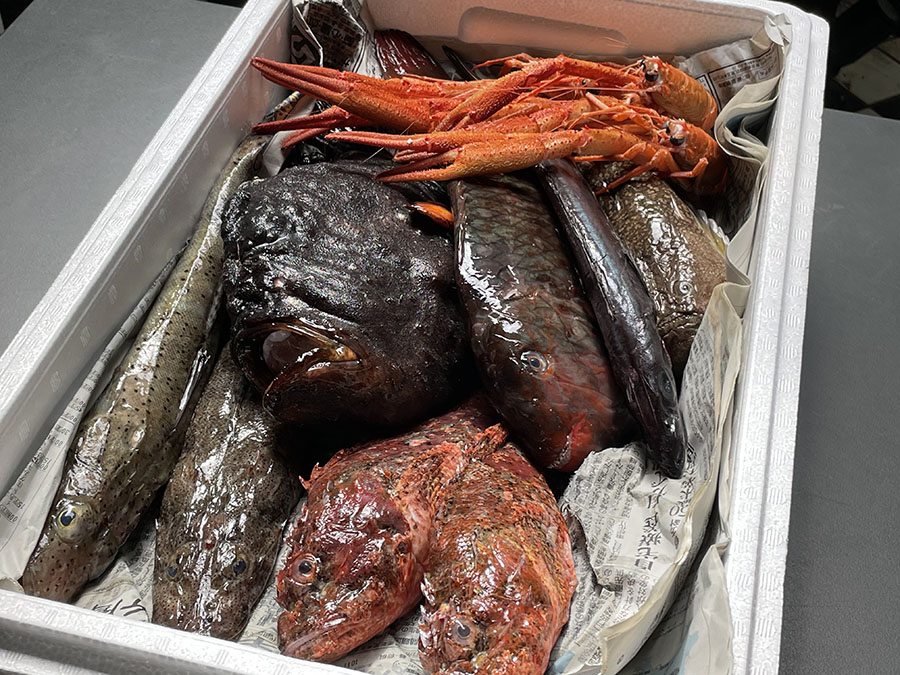 シンシアの撮影直前に届いた魚。未利用魚をどのように美味しく調理するか。まさにサステナブルで美味しい料理の始まりです。