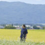 過去を離れて見えた八ヶ岳山麓の新しい料理　臼井憲幸 カエンネ 長野・茅野　24年12月号