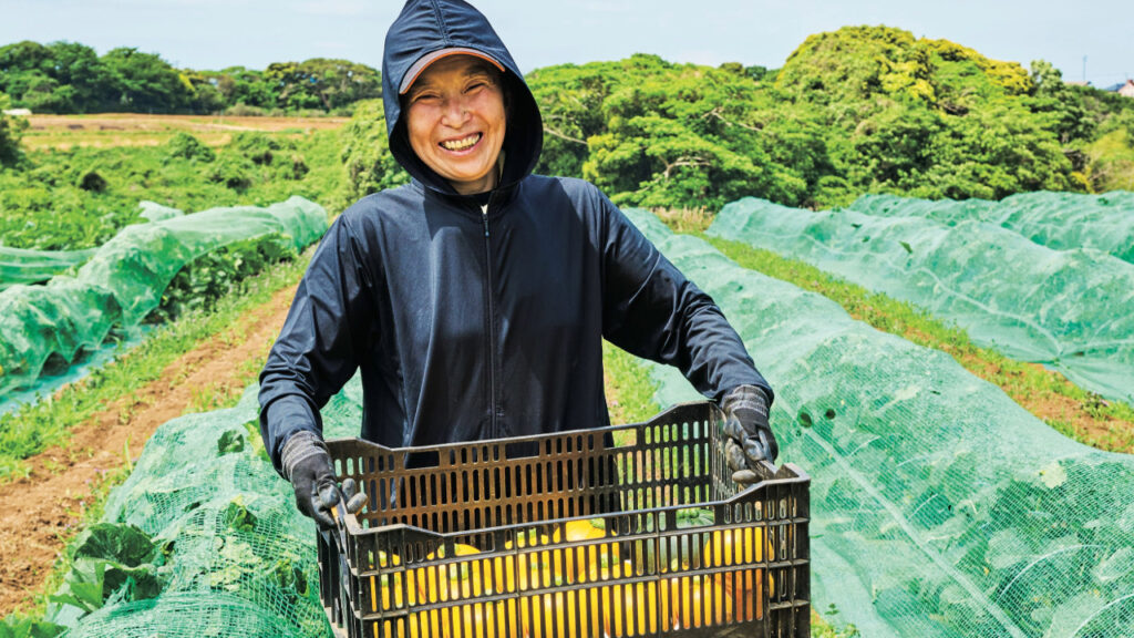 料理人の「使いたい」に応え外国野菜の生産に挑戦　青木農園（神奈川県・三浦市）